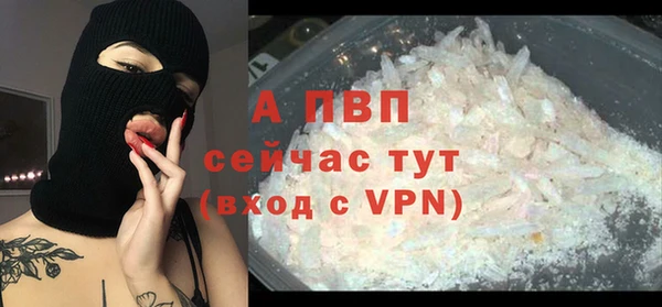 крисы Балахна