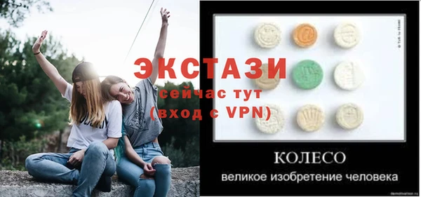 стаф Богородицк
