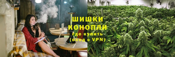 стаф Богородицк