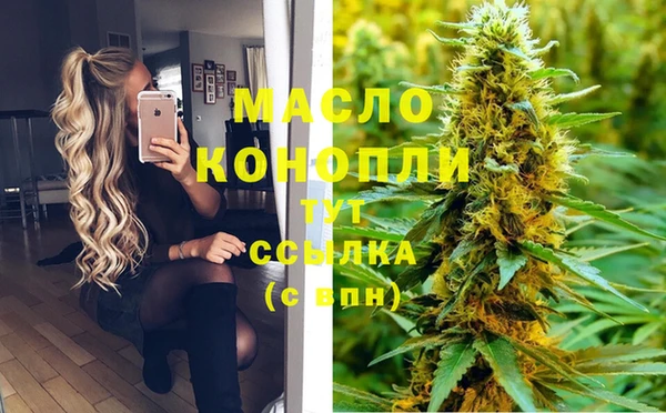 твердый Богданович