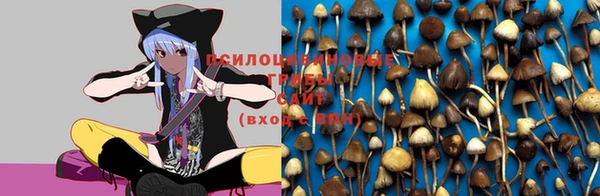 прущие крисы Балабаново